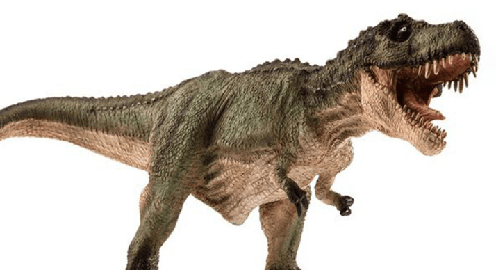 general manager of my beef farm